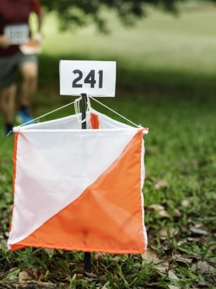 Course d’orientation