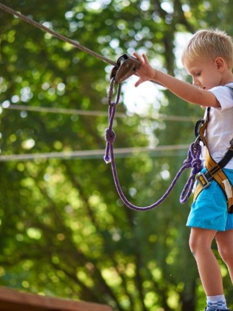 La forêt de l'aventure
